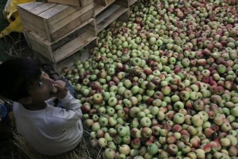 Crops and fruits are in jeopardy, says Indranil Sarkar, the vice president of operations for Skymet Weather Services in Noida, Uttar Pradesh.