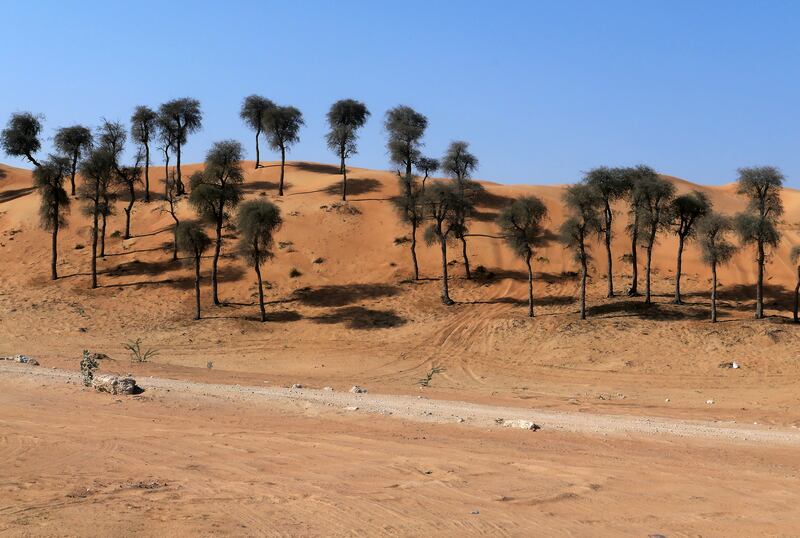 Beauty of the desert landscape in Ajman. Pawan Singh / The National