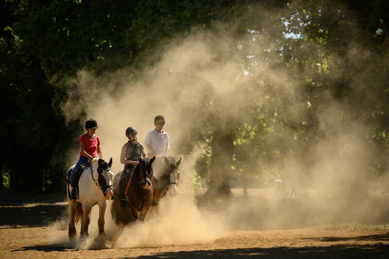 Horses from Hyde Park stables are surrounded by clouds of dust as they are ridden along a dry bridleway in the London park. Getty Images