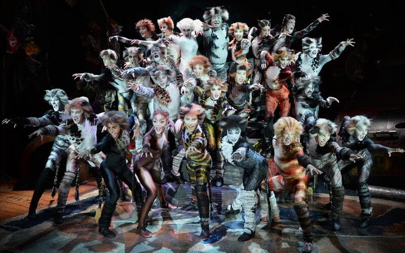 The touring cast of Cats. Photo by Alessandro Pinna