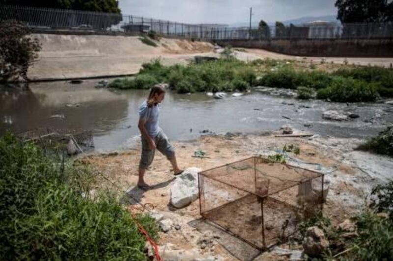 "The mix of waste is like a salad bar for the crocodile," says Jason Mier, the executive director of Animals Lebanon, a privately funded animal support group. Bryan Denton / The National