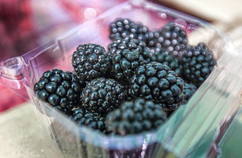 Abu Dhabi, United Arab Emirates, March 16, 2020.  The UAE’s first raspberry and blackberry model farm, a project by the Abu Dhabi Agricultural and Food Safety Authority at Tarif-Liwa road, Al Dhafra region.  Freshly picked blackberries.
Victor Besa / The National
Reporter:  Sophia Vahanvaty 
Section:  NA