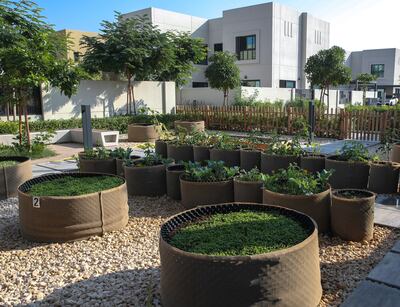 Sharjah Sustainable City has mini flower and vegetable gardens located in community clusters. Victor Besa / The National