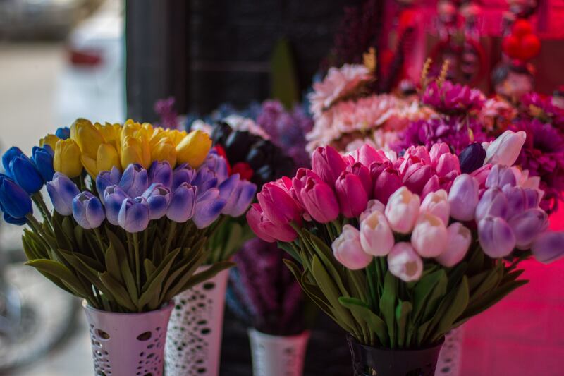 Tulips in a flower shop.