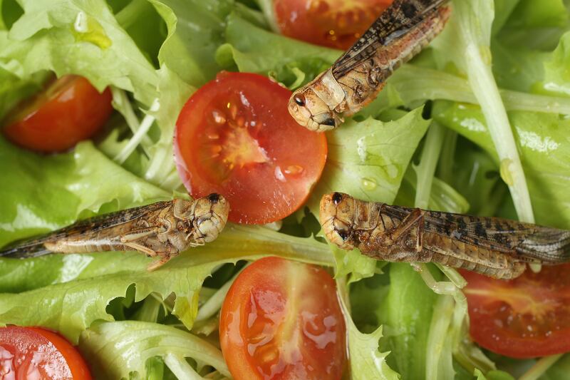Grasshoppers are also eaten in Mexico. Getty Images