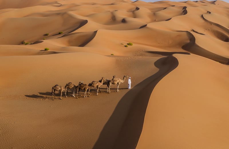 Camel trekking is on offer 