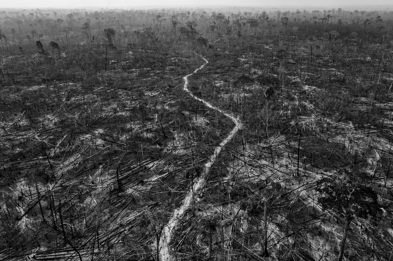 Long-Term Projects winner: South America, 'Amazonian Dystopia' by Lalo de Almeida, Brazil. Photo: Folha de Sao Paulo; Panos Pictures