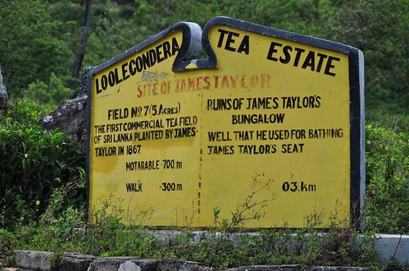 The second stage of the Pekoe Trail ends at Loolecondera in Galaha, Sri Lanka's first official tea estate.