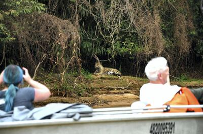 Nature tourism and ecotourism are some of the main sources of income for locals living in Pantanal. Unsplash