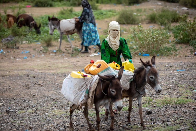 A Yemeni woman transports water on the back of a donkey amid an extreme heatwave and severe water shortage. AFP