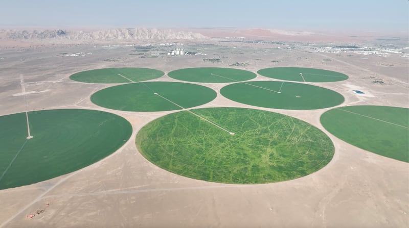 Drone images show the vast green patches. The farm covers 400 hectares, about the size of 500 football pitches. Photo: Supplied