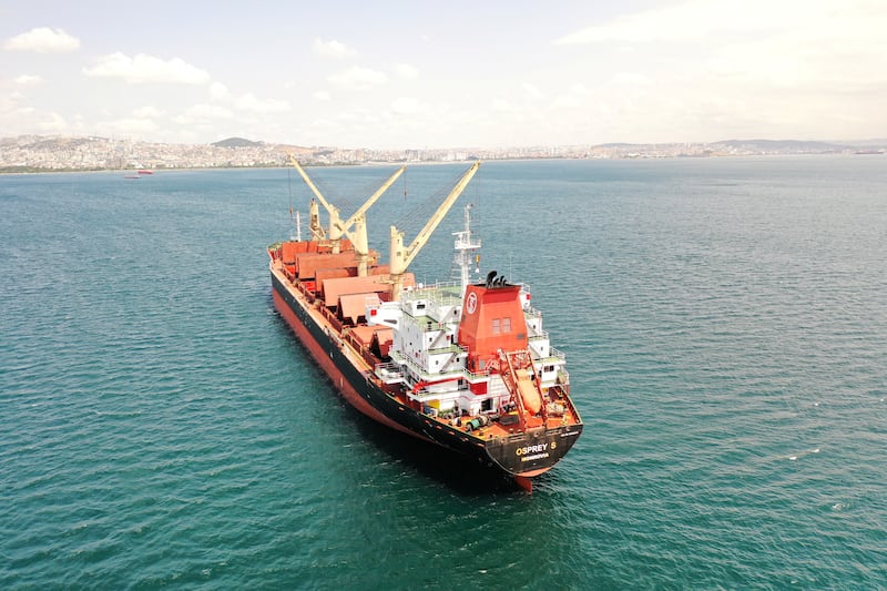 The Turkish bulk carrier 'Osprey S' is anchored off the shore near Istanbul. The vessel was expected to arrive in Ukraine's Chornomorsk port carrying grain, becoming the first ship to arrive at a Ukrainian port during the war. Reuters