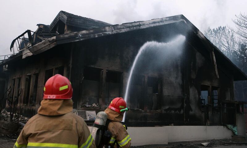 Firefighters try to put out a fire after houses were destroyed by a forest fire in Donghae. Yonhap / AFP