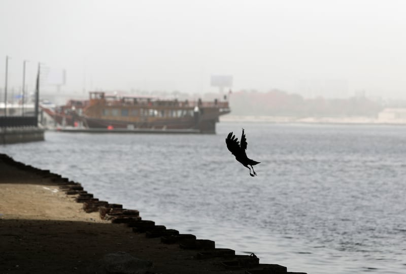 The hot and dusty conditions witnessed at Dubai Creek will persist for the next few days, with the National Centre of Meteorology warning of blowing sand and dust until Sunday. Chris Whiteoak / The National