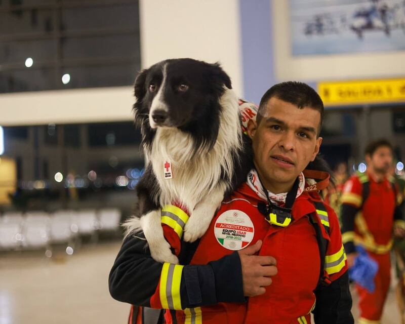 A rescue dog and handler leave Mexico for the earthquake zones of Turkey and Mexico. Photo: Ministry of Foreign Affairs of Mexico / Twitter