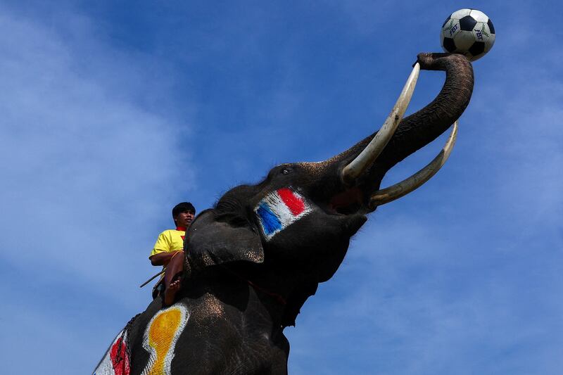 An elephant painted with French national flags plays football with students in Ayutthaya province, Thailand. Reuters