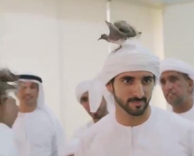 Sheikh Hamdan bin Mohammed and Sheikh Mohammed bin Rashid welcome a visiting bird. @HamdanMohammed