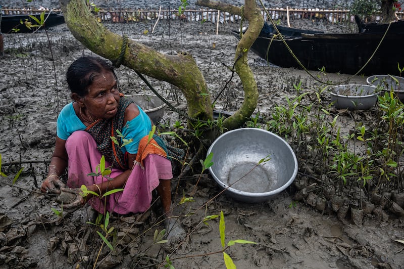 Highly Commended, Mangroves & Humans, Sankhadeep Banerjee, India. Photo: Sankhadeep Banerjee / Mangrove Photography Awards