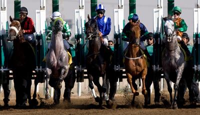 Dubai - November 21, 2008: Horses leave the starting gate during the second race at Jebel Ali Race Course in Dubai November 21, 2008. It was the first race day of the season. (Jeff Topping/The National) *** Local Caption ***  JT001-1121-HORSE RACE 7F8Q6136.jpgJT001-1121-HORSE RACE 7F8Q6136.jpg