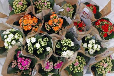 Bouquets of flowers are seen at a flower shop in Madrid, Spain, days before Valentine's Day. EPA