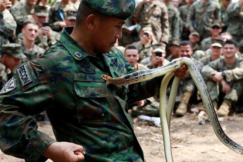 A soldier trains with a snake during the Cobra Gold multilateral military exercise in Chanthaburi, Thailand. Reuters