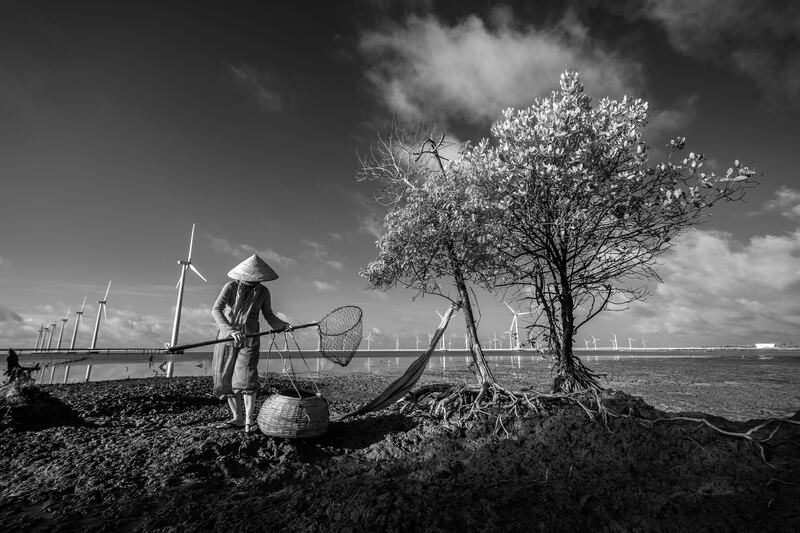Highly Commended, Mangroves & Humans, Hoang The Nhiem, Vietnam. Photo: Hoang The Nhiem / Mangrove Photography Awards