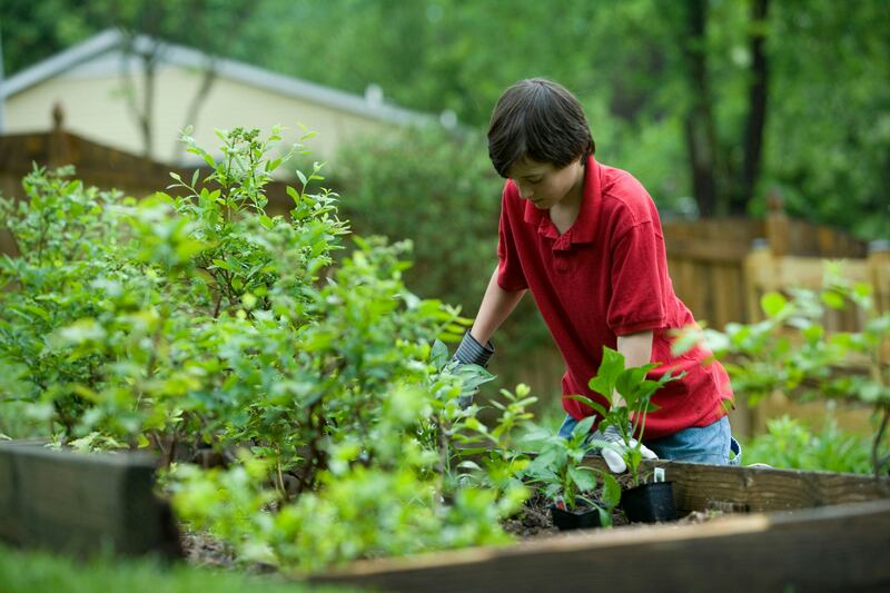 Gardening requires people to use their non-dominant hand, which is a good physical and cerebral exercise. Photo: CDC / Unsplash