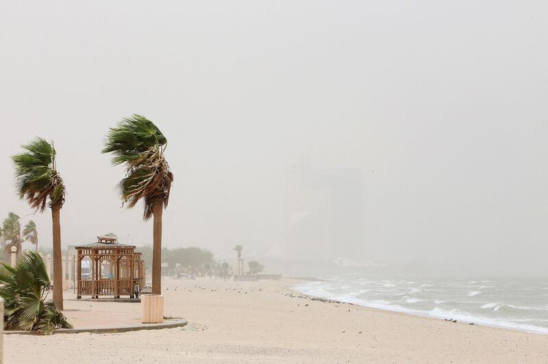 Trees sway in the wind during a dust storm in Kuwait City. AFP