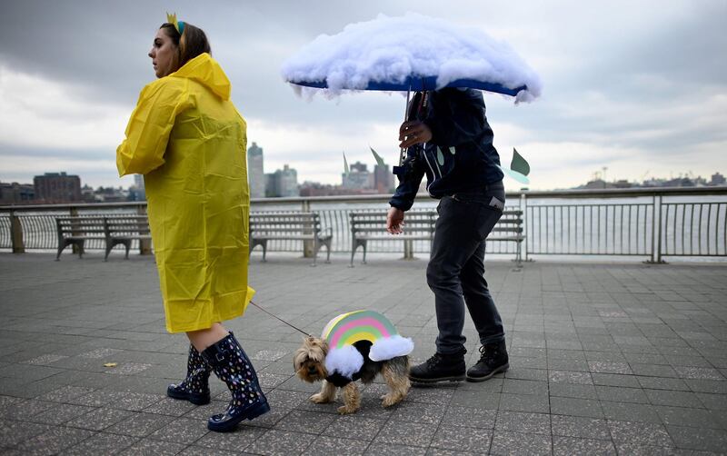 A dog dressed in a rainbow costume attends the Tompkins Square Halloween Dog Parade in Manhattan in New York City. AFP