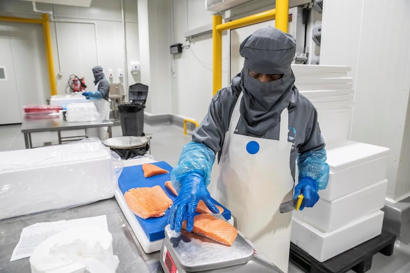 DUBAI, UNITED ARAB EMIRATES. 21 FEBRUARY 2021. Opening of the largest seafood factory in the Middle East that will be able to process around a quarter of all seafood consumed in the UAE. Salmon processing.  (Photo: Antonie Robertson/The National) Journalist: Kelly Clarke. Section: National.