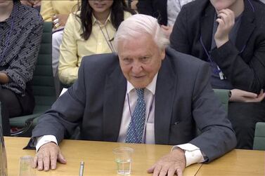 REFILE - CORRECTING BYLINE British naturalist David Attenborough speaks to a parliamentary committee on "Clean Growth Strategy and International Climate Change Targets" in London, Britain July 9, 2019 in this screen grab taken from video. Parliament TV/ via REUTERS