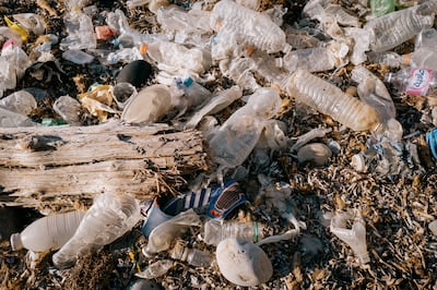 Tunisia is the world's 4th largest consumer of bottled mineral water per capita. Many of those bottles end up in the Mediterranean, or on its beaches, including this one in Tabarka, on the country's northwest coast. Erin Clare Brown / The National