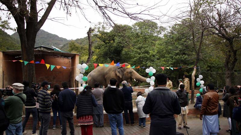 People visit Kaavan during a farewell ceremony at Maragzar zoo in Islamabad, Pakistan. EPA