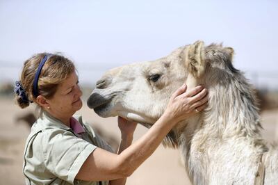 Dubai, United Arab Emirates - January 22nd, 2018: Dr Lulu Skidmore who is the scientific director at the Camel Reproduction Centre. Monday, January 22nd, 2018 at Camel Reproduction Centre, Dubai. Chris Whiteoak / The National