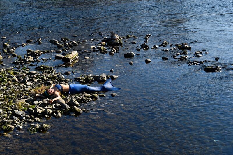 An Extinction Rebellion activist in a mermaid costume takes part in a protest against climate change on the banks of the river Po after dry land emerged following weeks of drought in Turin, Italy. Reuters