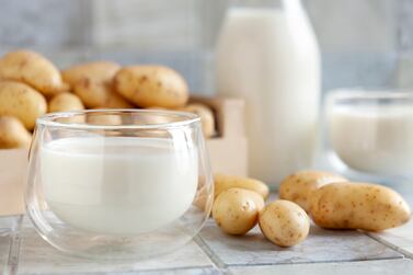 Vegan potato milk in glass and potato on ceramic tile background. Plant based milk replacer, lactose free concept. Selective focus, close up