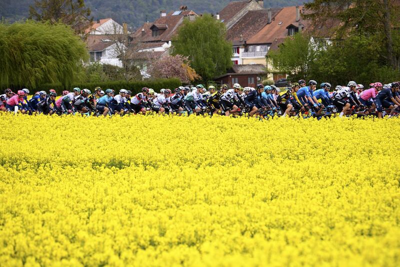 The peloton during Stage 2 of the Tour de Romandie, a 165.7 km race between La Neuveville and Saint-Imier, in Switzerland on Thursday, April 29. EPA