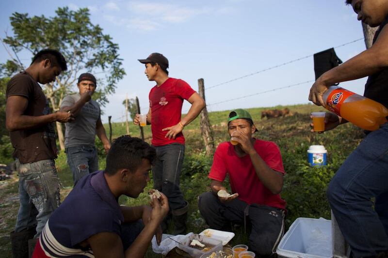 Honduran migrant Carlos Mejia, second right, shares breakfast with Honduran and Mexican colleagues before they start work on the outskirts of Tenosique, a town in Mexico’s Tabasco state. Rebecca Blackwell / AP Photo / December 7, 2016