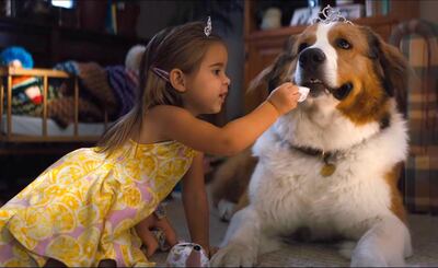 A scene from 'A Dog's Journey'. Courtesy Universal Studios