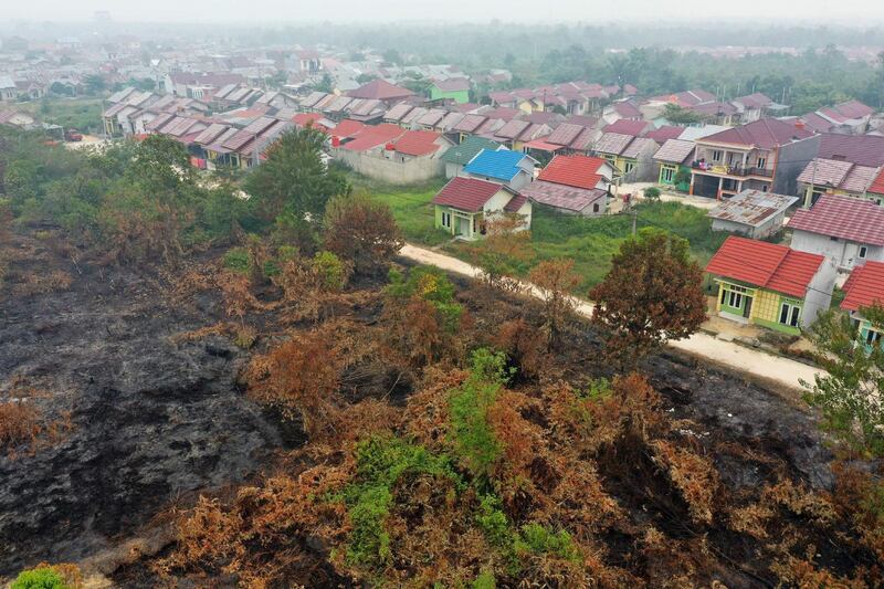 Smouldering peatland in Kampar, Riau after a fire that swept through the area was stopped from moving further by a road.  AFP