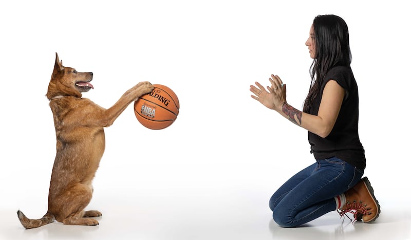 Jellybean and Melissa Millett have the record for the most bounce passes of a basketball between a human and dog in 30 seconds.