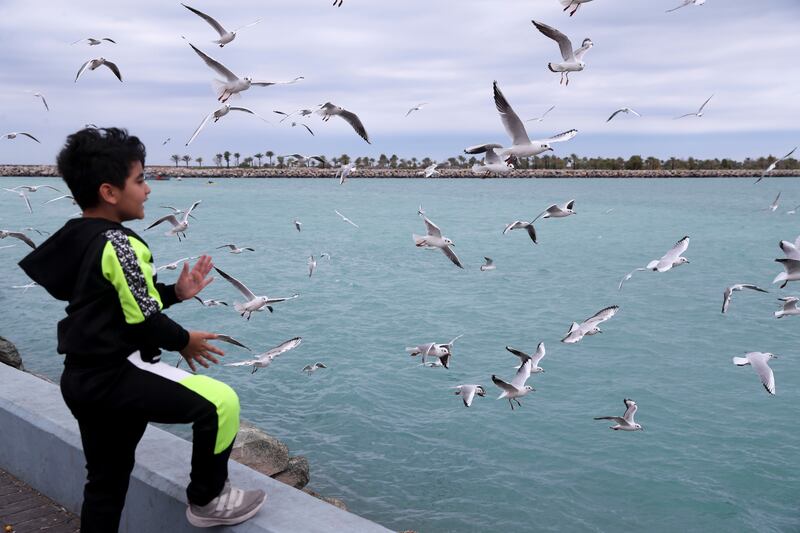 Cool weather and cloudy skies along the Corniche, Abu Dhabi. Khushnum Bhandari / The National