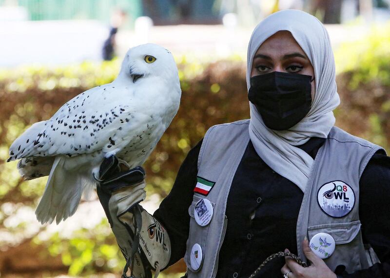 A snowy owl perches on a woman's arm during a meeting of the Kuwait Owl Team, in Kuwait City. Formed in 2016, the group has 30 members. AFP