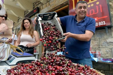 epa07651841 A vendor empties freshly picked cherries from a box during Cherry Day in the village of Hammana, southeast of Beirut, Lebanon, 16 June 2019. Hammana is known for its cherries blooming and has celebrated Cherry Day for fifty years. A village of 7,000 residents, Hammana is home to 10 cherry farms. All are family owned, some going back hundreds of years. The farms range in size from small operations (50 cherry trees) to their larger counterparts (700 or more). EPA/WAEL HAMZEH