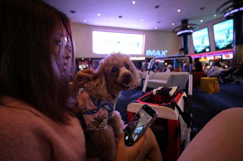 The pet-friendly cinema is on the outskirts of Bangkok, Thailand's capital. EPA