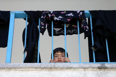 A Palestinian boy, who fled his family home due to Israeli bombardments, peers through railings of a UN-run school where he has taken refuge in Gaza city. Reuters