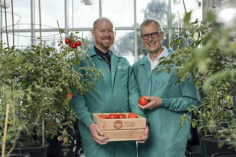 Ryan Lefers, Co-Founder & CEO with Mark Tester, Co-Founder & CSO. Courtesy Red Sea Farms