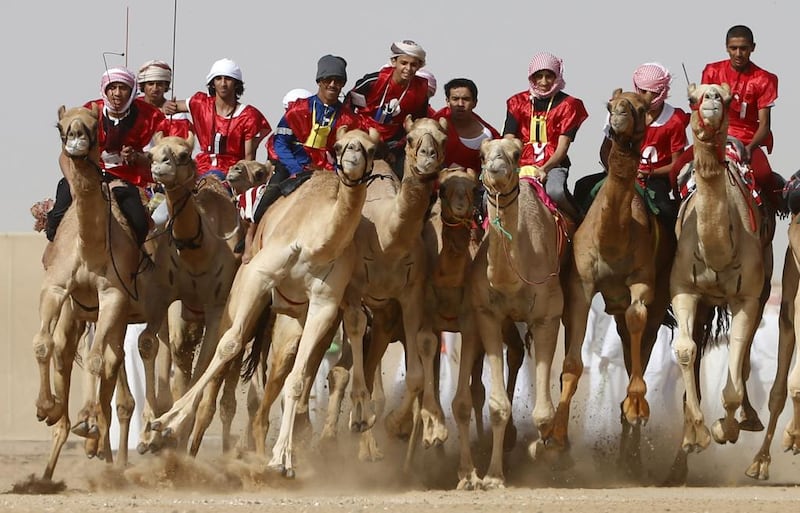 Jockeys compete in a camel race at Sweihan racecourse in Al Ain. Karim Sahib / AFP