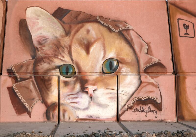 A cat by Malak Gallery.