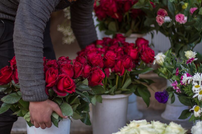 A worker in a flower shop in the city of Idlib moves roses, preparing them for sale.